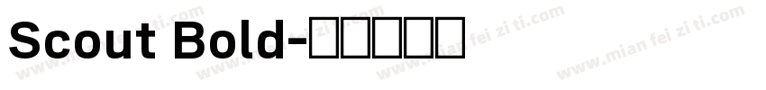 Scout Bold字体转换